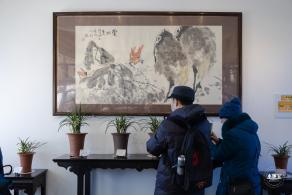 中山公园花展