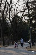日坛公园
