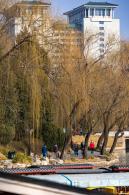 紫竹院公园