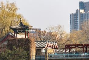 紫竹院公园