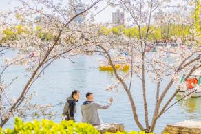 玉渊潭公园2023