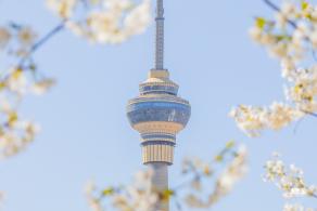 玉渊潭公园2023