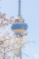 玉渊潭公园2023