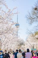 玉渊潭公园2023
