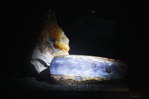 珠宝博物馆