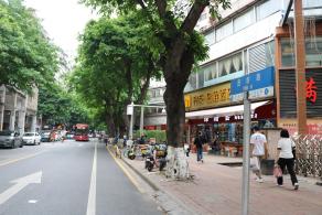 西华路
