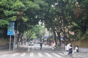 西华路