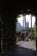 2025深圳簕杜鹃花展