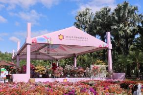 2025深圳簕杜鹃花展