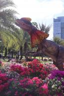 2025深圳簕杜鹃花展