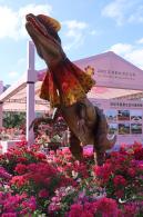 2025深圳簕杜鹃花展