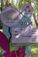 2025深圳簕杜鹃花展