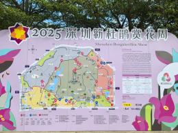 2025深圳簕杜鹃花展