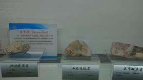 长安大学