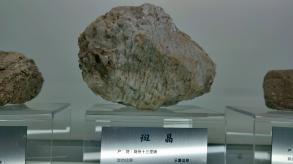长安大学