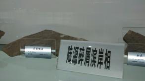 长安大学