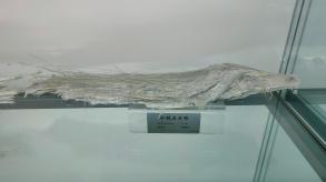 长安大学
