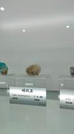 长安大学