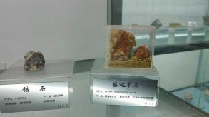 长安大学