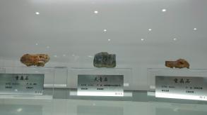 长安大学