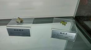 长安大学