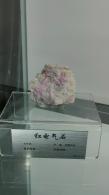 长安大学