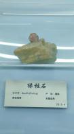 长安大学