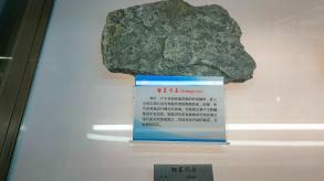 长安大学