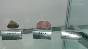 长安大学