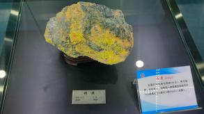长安大学