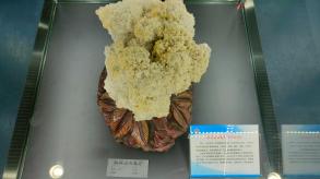 长安大学