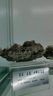 长安大学