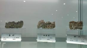 长安大学