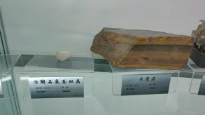长安大学