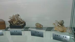长安大学