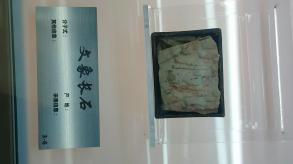 长安大学