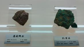 长安大学