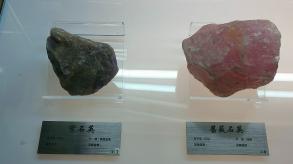 长安大学