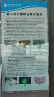 长安大学