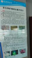 长安大学