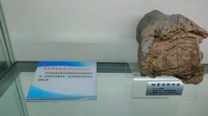 长安大学