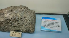 长安大学