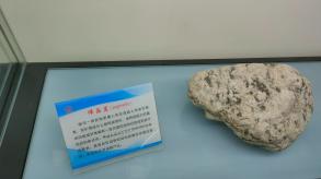 长安大学