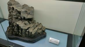 长安大学