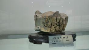 长安大学