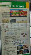 长安大学