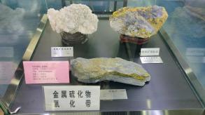 长安大学