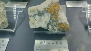 长安大学