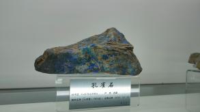 长安大学