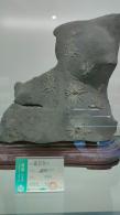 长安大学